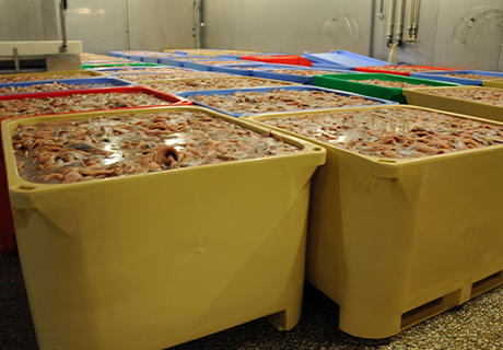 IPFP-660-2 PUR 630 L